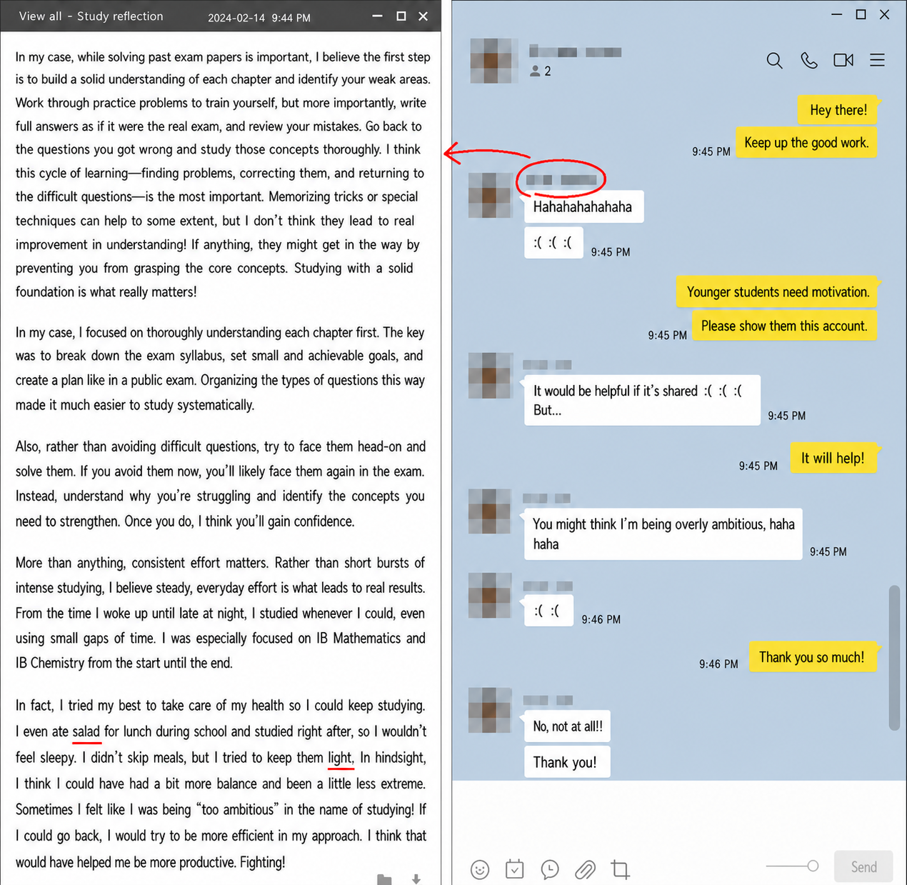 English translation of an IB Chemistry grade 7 student's detailed study reflection