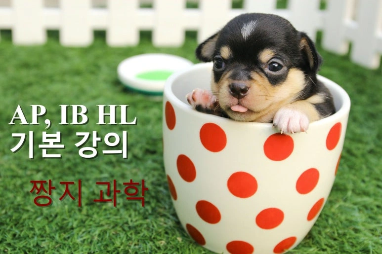 IB HL Biology 무료 기본 강의